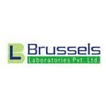 brussels.jpeg — SSMS Engineers client